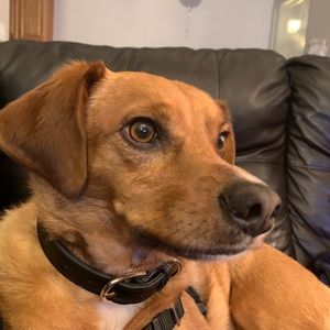 Meet your Posher, Samira